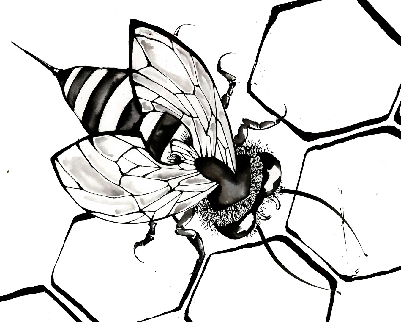 1350x1082 Coloring Pages Coloring Pages Draw A Bee A Along