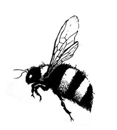 236x262 Flying Bumble Bee Drawing