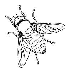 230x230 Top 15 Bumblebee Coloring Pages For Your Little One