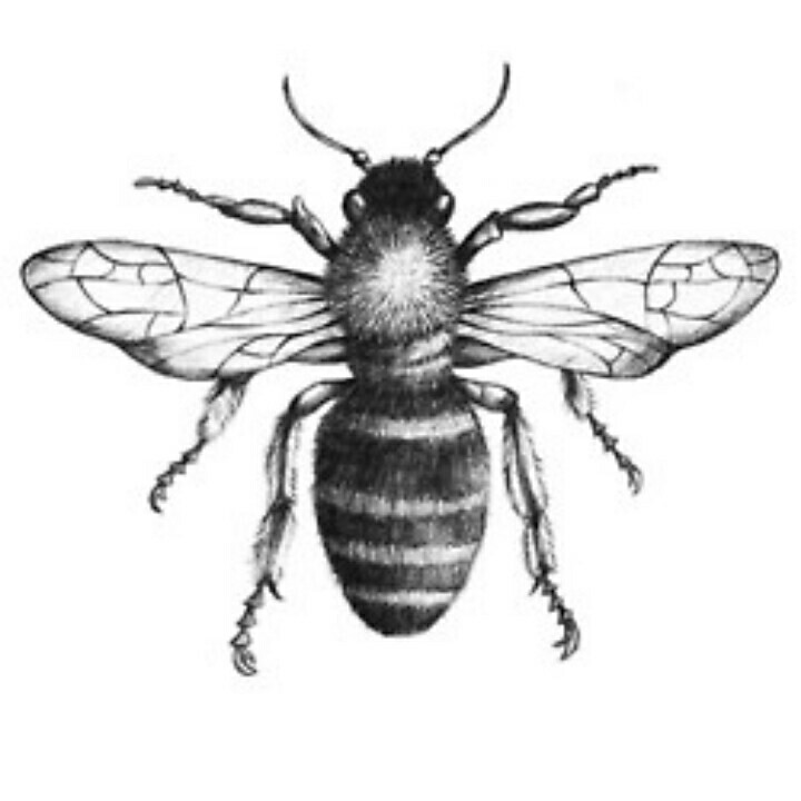 720x720 Bee Tattoo Line Black White Grey Bee Tattoo