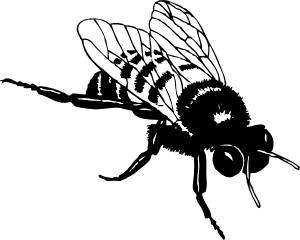 300x240 Bumble Bee Clip Art