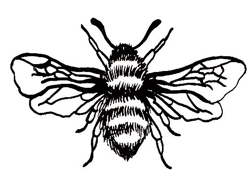 500x359 86 Best Manchester Worker Bee Images On Bees, Tattoo