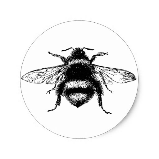 512x512 Vintage Bumble Bee Illustration