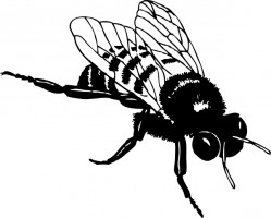 249x200 Bumble Bee Bee Clip Art Free Vector In Open Office Drawing Svg Svg