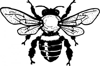 425x279 Bumblebee Clipart Drawn