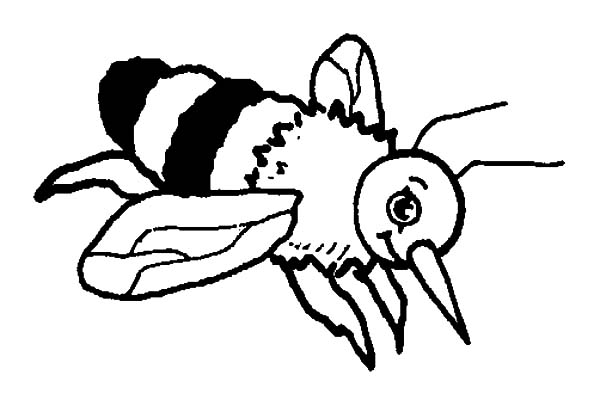 600x406 Wonderful Bumble Bee Coloring Pages Top Colori