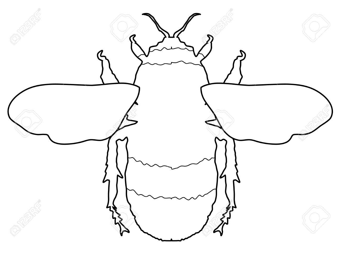 1300x974 Outline Illustration Of Bumblebee, Insect Royalty Free Cliparts