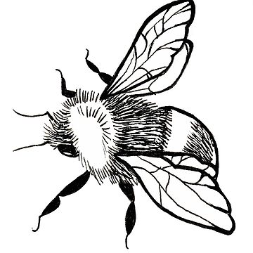 360x360 Bumblebee Classic T Shirt By Verysmallbee Redbubble