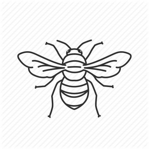 512x512 Bee, Bug, Bumble, Bumble Bee, Bumblebee, Flying Insect, Insect