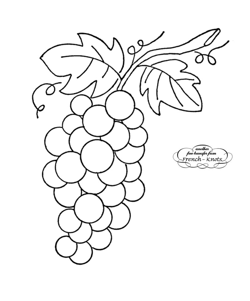 800x961 Bunch Of Grapes Embroidery Transfer Pattern