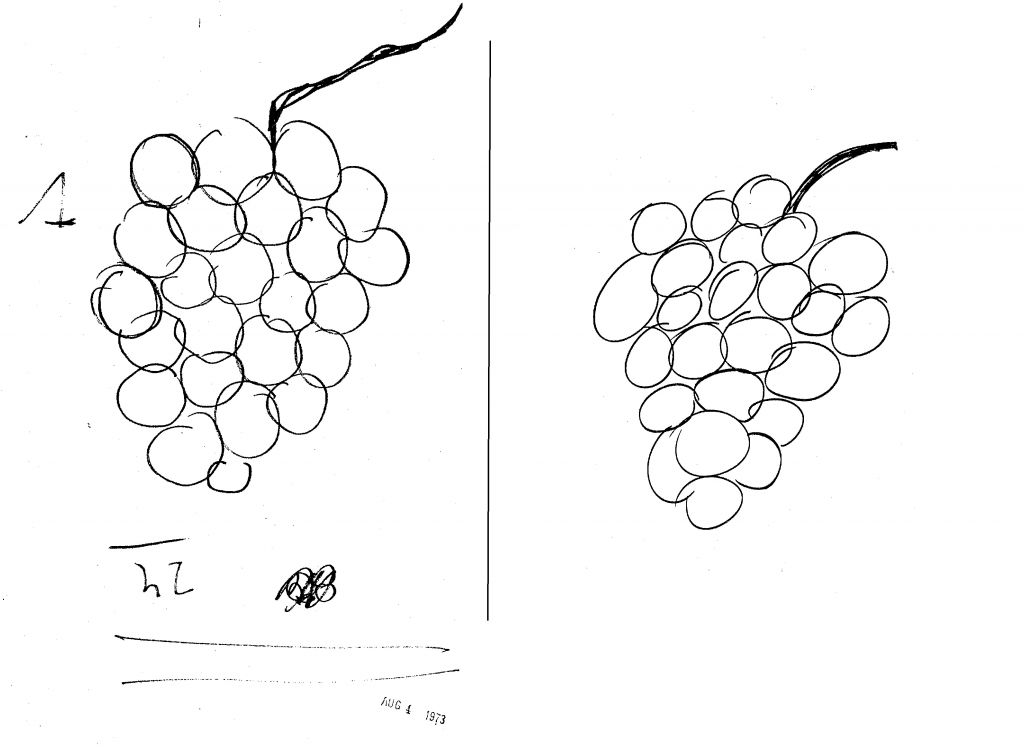 1024x751 How Uri Geller Persuaded The Cia He Can Read Minds The Times