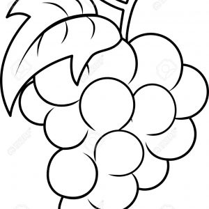 300x300 Adult How Draw Grapes How Draw Grapes With Leaves. How