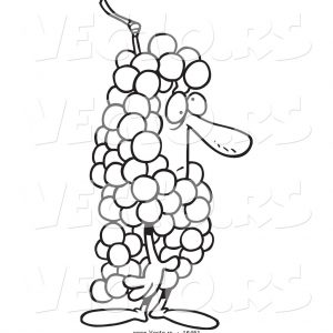 300x300 Bunch Of Grapes Sketch Vector Bunch Adult