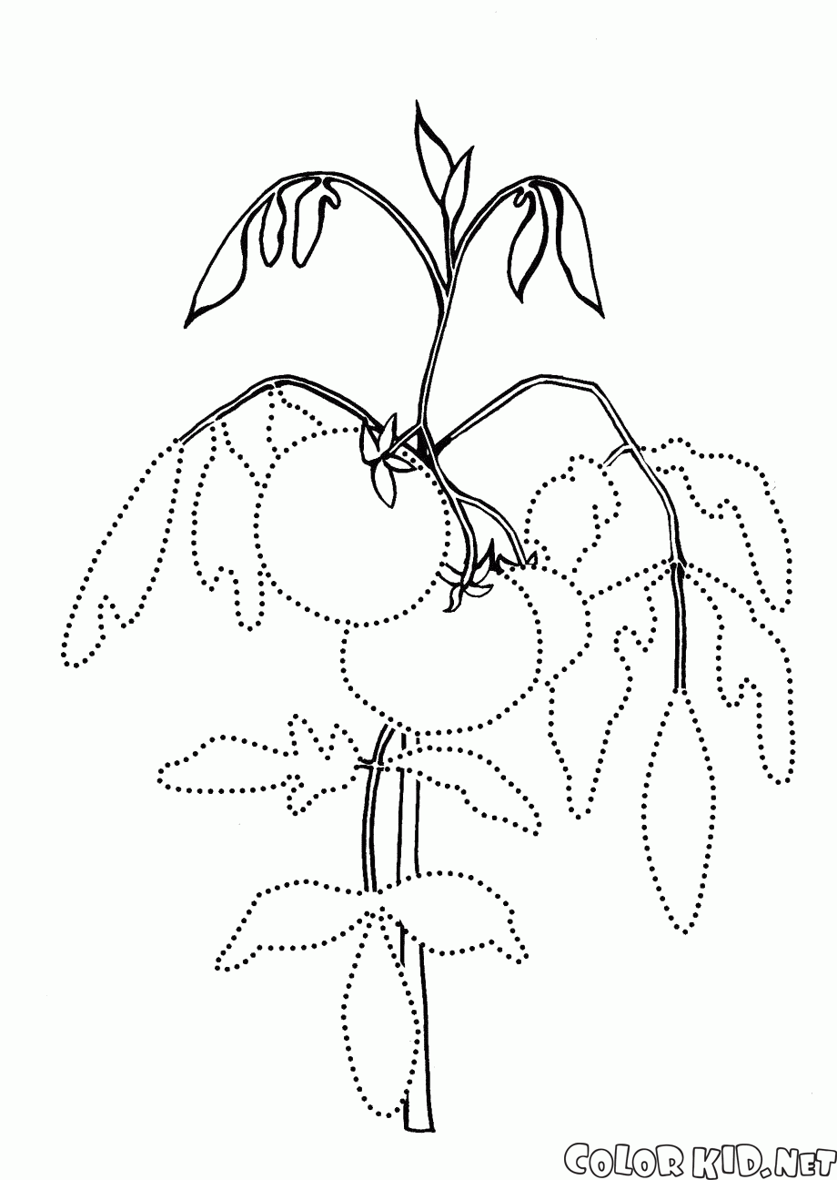 920x1296 Vector Of Cartoon Man Getting Out In The Coloring Pages Bed