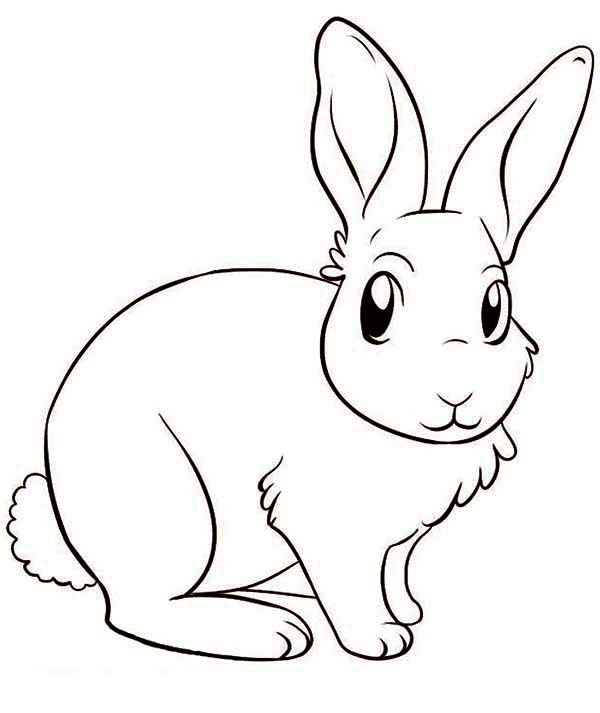 600x713 A Lovely Drawing Of Little Bunny Coloring Page
