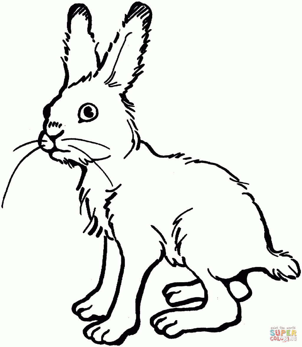 1024x1178 Uncategorized ~ Easter Bunny Drawing Drawings For Kids
