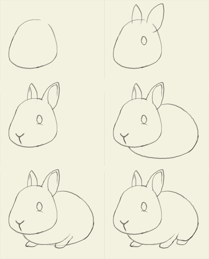 700x865 How To Draw Bunny