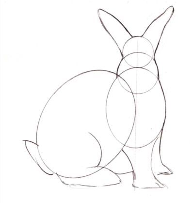 400x418 Do You Want To Learn How To Draw Like The Professionals Rabbit