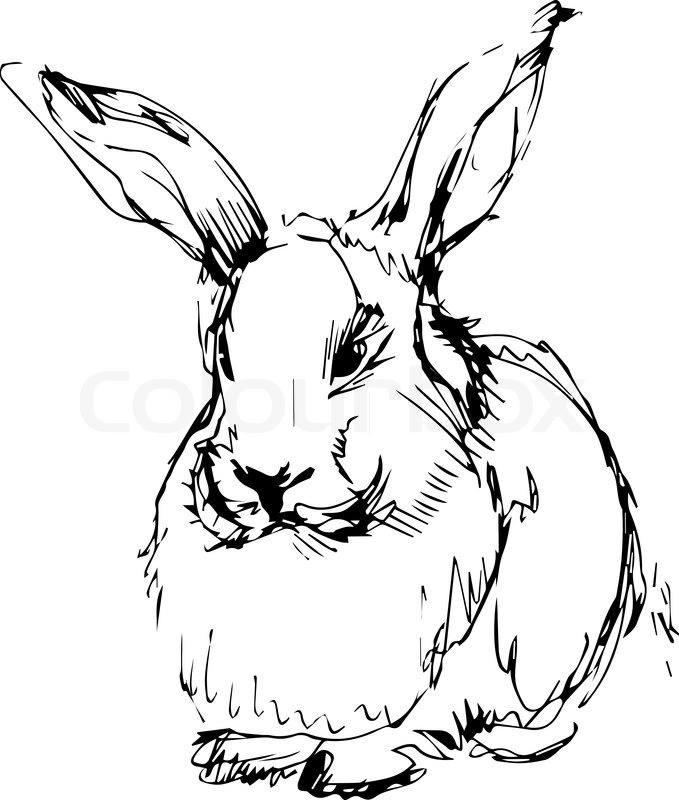 679x800 A Image Of A Rabbit With Long Ears Stock Vector Colourbox