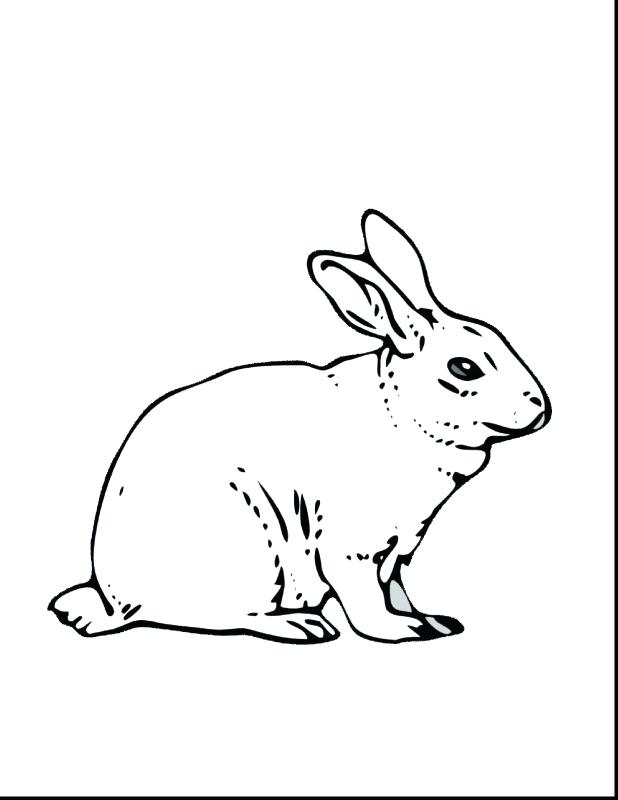 618x800 Easter Bunny Coloring Pages To Print 24 Plus Bunny Color Page