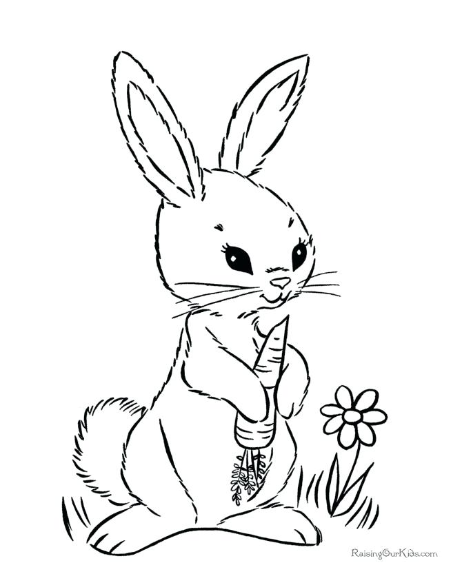 670x820 This Is Bunny Coloring Page Images Who Love Spring Flowers Baskets