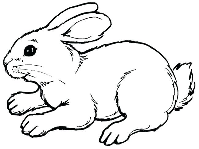 650x488 Outline Of Bunny Rabbit Template Printable Outline Of Easter Bunny