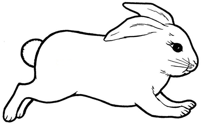 650x404 Rabbit Template