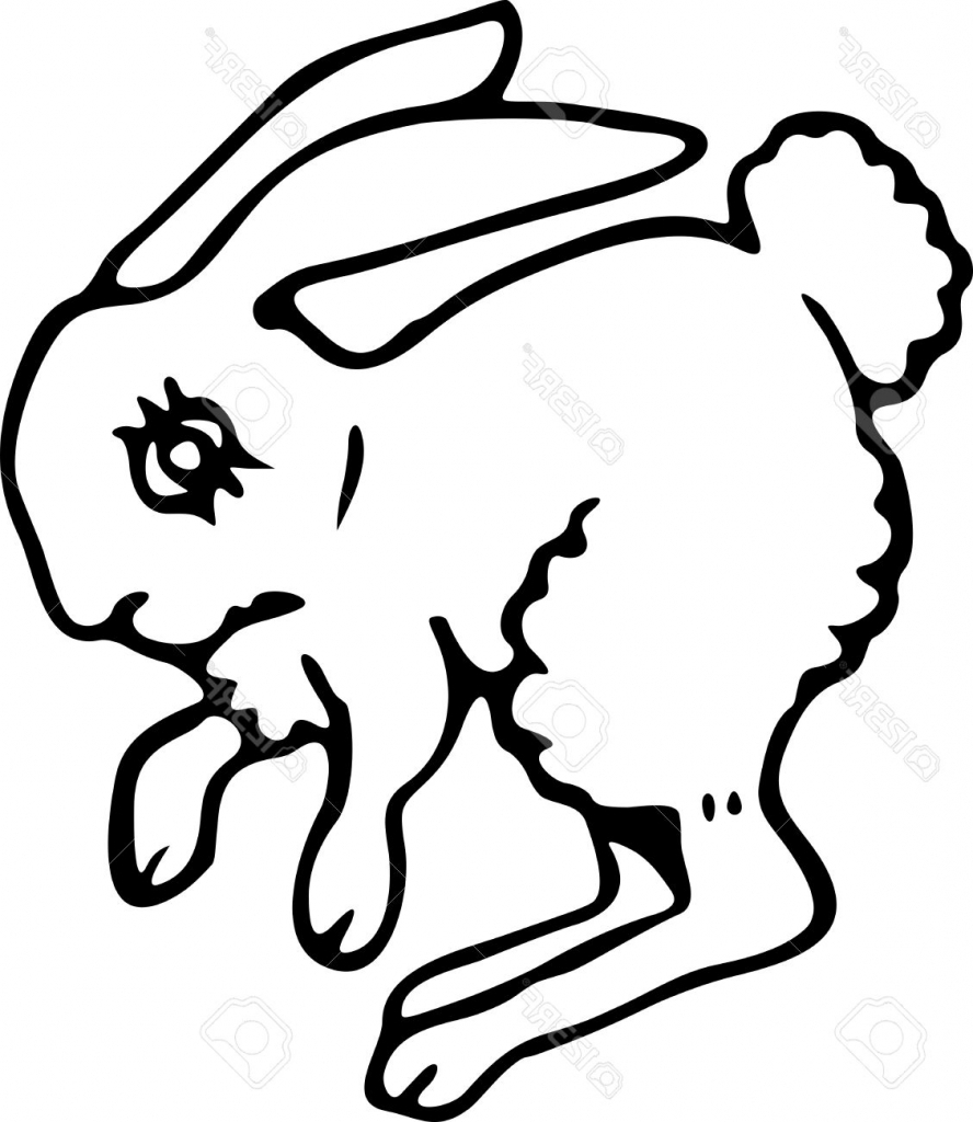 Download Bunny Line Drawing at GetDrawings.com | Free for personal ...