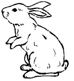 250x274 Bunny Reference Inspiration Tattoos Bunny
