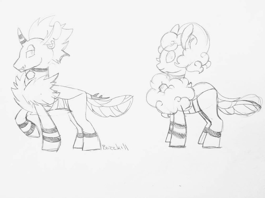 900x675 Pencil Sketch Of Buzzkill Bunnyhoney By Sinjaaussiaangels