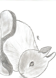 231x320 Swan Pencil Drawings And Sketches