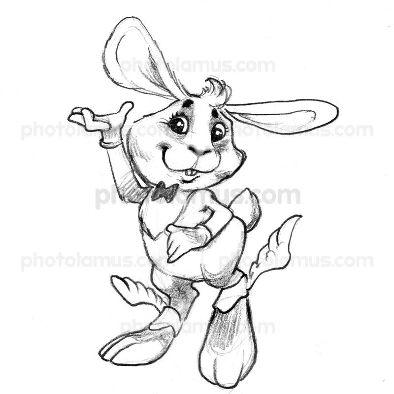 800x800 The World's Best Photos Of Pencil And Rabbit