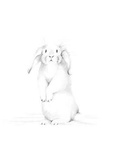 386x500 Bunny Nursery Print, Baby Animal Print, Pencil Drawing