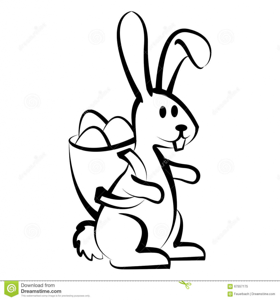 957x1024 Drawing A Bunny Rabbit