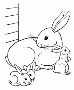 236x288 Drawing A Bunny Rabbit Drawing Of Bunny Rabbit Clipart Best