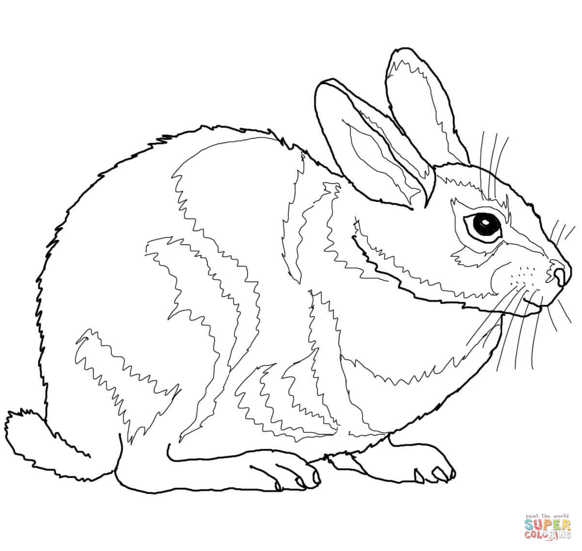 1200x1136 Drawn Bunny Cottontail Rabbit