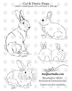 236x295 How To Draw A Rabbit Art