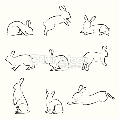 414x414 Rabbit Drawing Set Draw Rabbit Drawing, Drawings