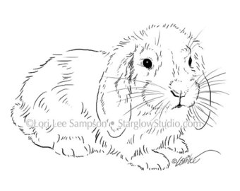340x270 Bunny Clipart Drawn