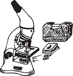 250x261 Lab Supplies And Equipment