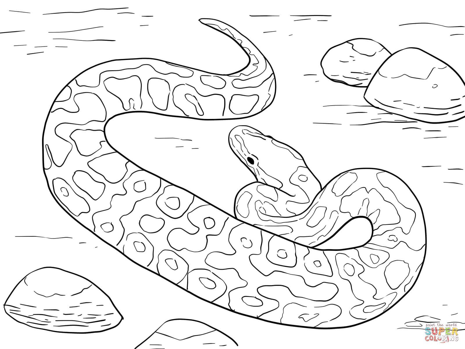 1600x1200 Ball Python Coloring Page Free Printable Coloring Pages