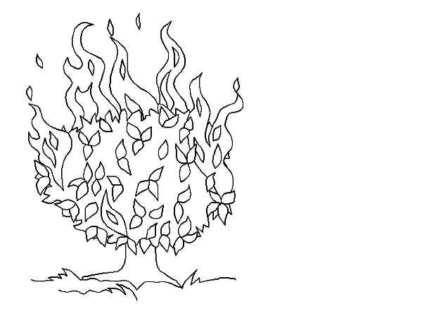 Burning Bush Drawing at GetDrawings | Free download