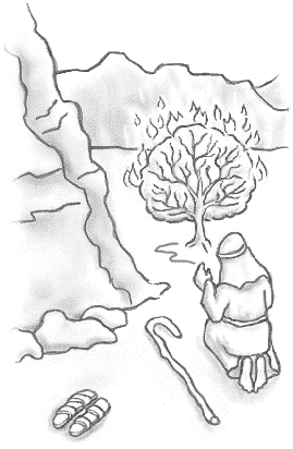 269x412 The Burning Bush