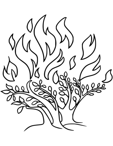 371x480 The Burning Bush Coloring Page Free Printable Coloring Pages