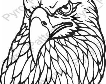 340x270 Pyrography Wood Burning Bald Eagle Head Bird Pattern Printable