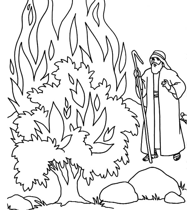 600x673 Burning Bush Moses Netart