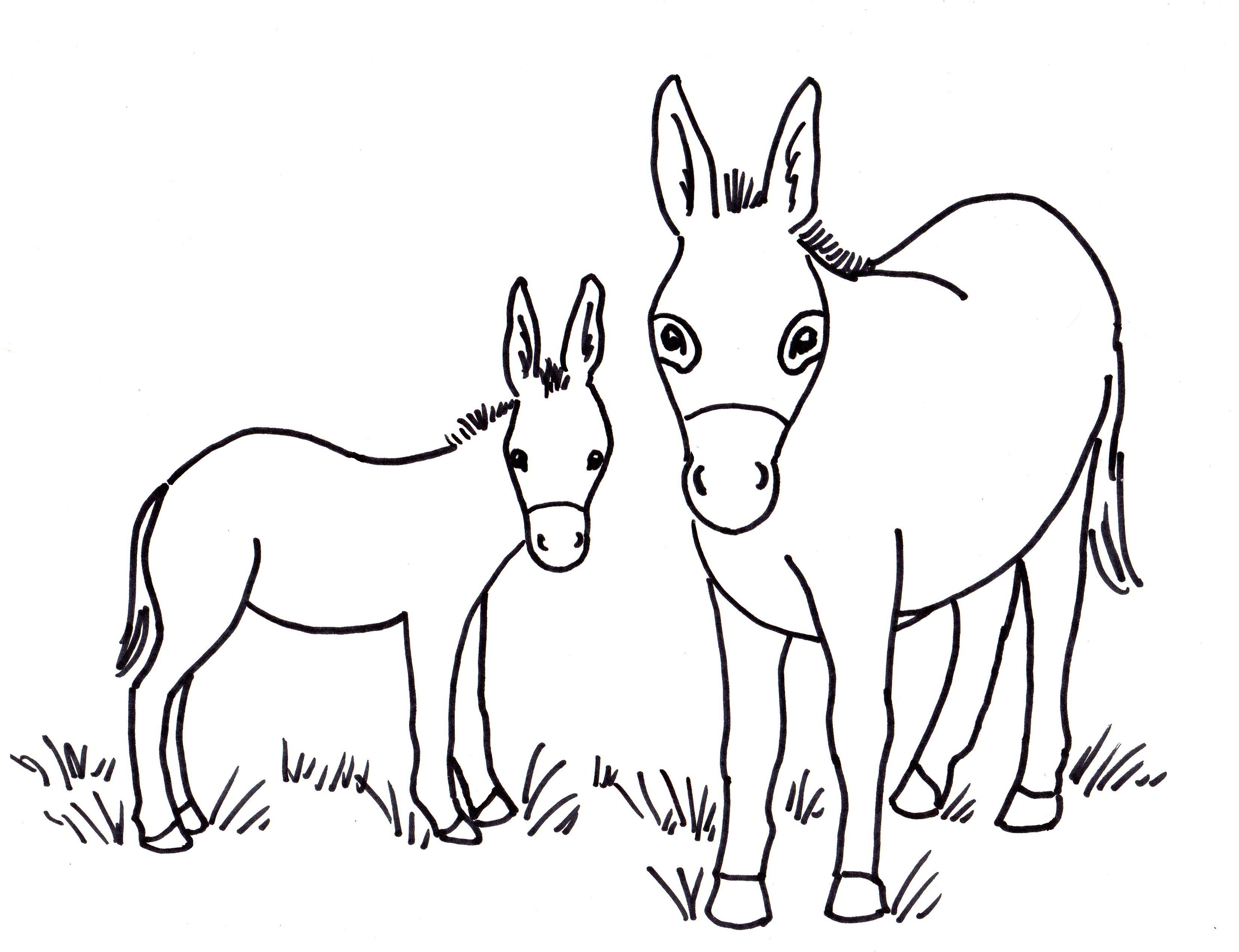 3313x2545 Donkey Coloring Page