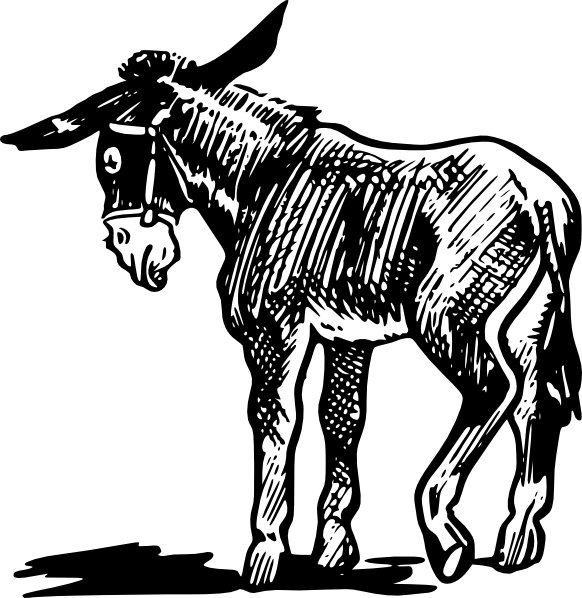 582x598 Donkey Outline In Black And White Clip Art