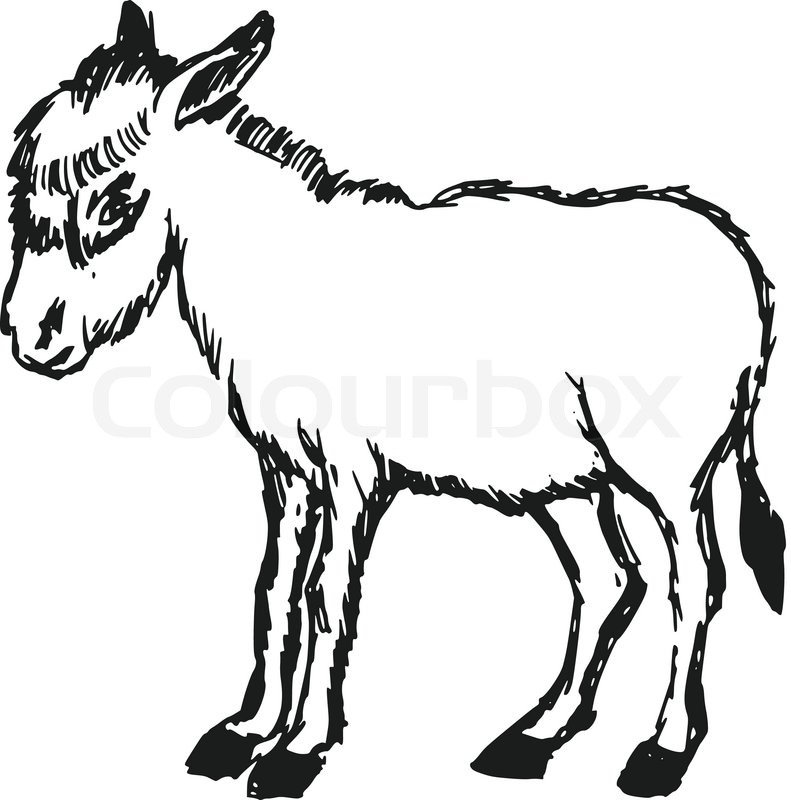 791x800 Hand Drawn, Cartoon, Sketch Illustration Of Donkey Stock Vector