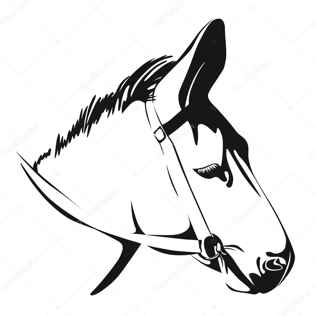 1024x1024 Head Of Donkey. Vector Drawing Stock Vector Ultrapro